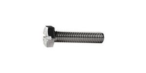 Hexagon Slotted Screw