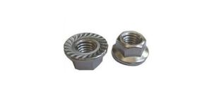 Stainless Steel Flange Nut