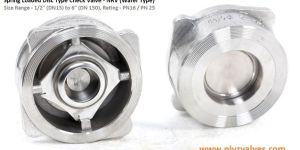 Spring Loaded Disc Check Valve