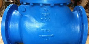 Swing Type Check Valve