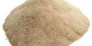 Food Sugarcane Fiber