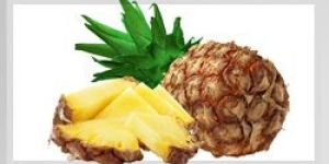 Pineapple Pulp