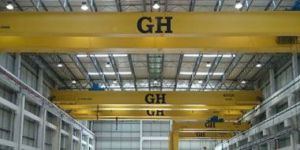 Double Girder Bridge Crane