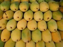 Langra Mango
