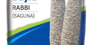 Bajra Seeds