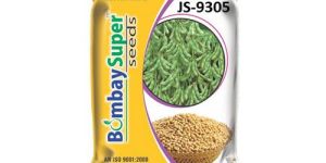 Soybean Seeds