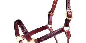 Leather Halter Brass Fittings