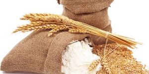 Wheat Flour