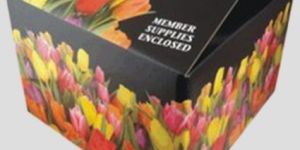 Printed Box