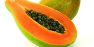 Fresh Papaya