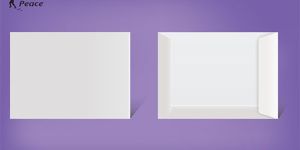 White Pocket Envelopes