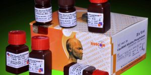 Alkaline Phosphatase Test Kits