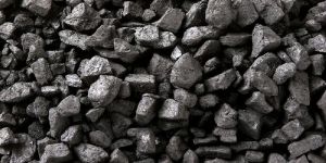 Coal