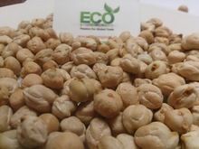 Chickpeas