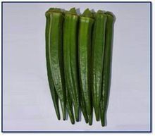 Okra Seeds