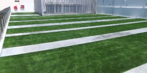 Artificial PUBLIC LANDSCAPING