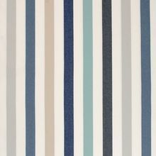 Cotton Stripe Print Fabrics