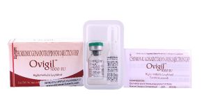 Hcg Injections