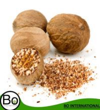 Nutmeg Essential Oil