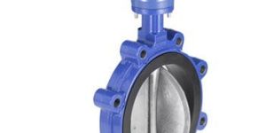 Butterfly Valve