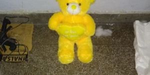 1.5 Feet Teddy Bear