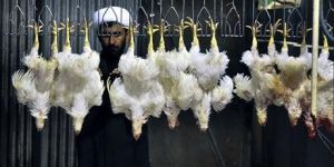 Non Vegetarian Halaal Certification Services