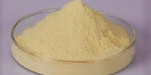 Soya Peptone Powder