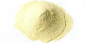 Yeast Extract Powder