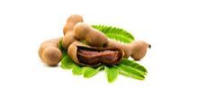 Tamarind