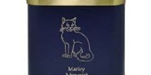 Pet Candle Light Brass Funeral Urn