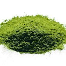 Wheatgrass Powder