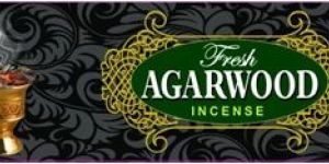 Fresh Agarwood Incense