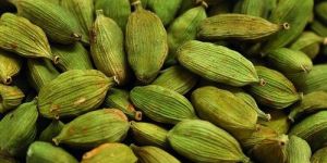 Cardamom