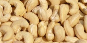 Dry Cashew Nuts