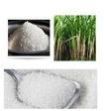 Sugar ICUMSA