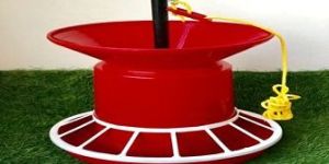 Feeder for Adult Birds