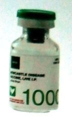 Hester Poultry Live Vaccines