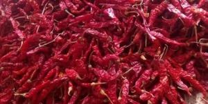 Byadgi Chillies