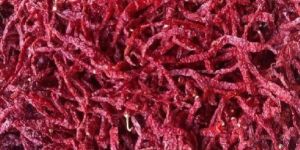 Byadgi Stemless Chillies