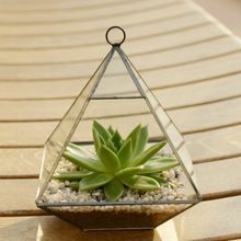 Christmas Hanging Terrarium