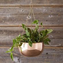Copper Hanging Planter