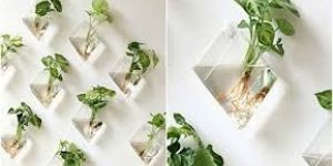 Hanging Wall Planter