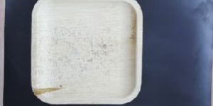 Eco Friendly Bio Degradable Crockery