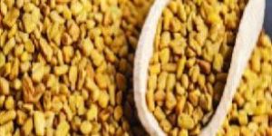 Fenugreek Seed