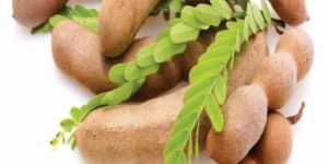 Tamarind