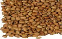 Pigeon Peas