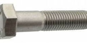 Stainless Steel Bolt
