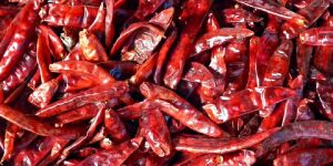 Red Chili