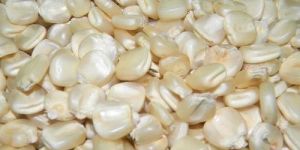 White Maize