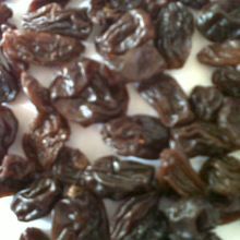 Raisin
